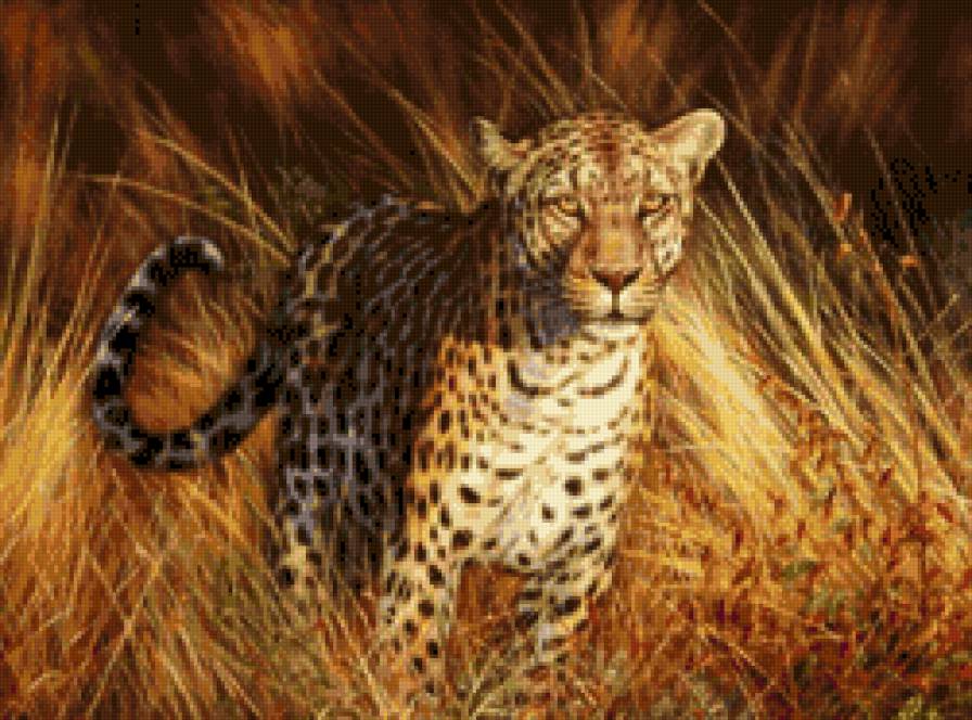ягуар - ягуар, животные, живопись - предпросмотр