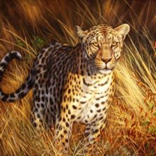 Схема вышивки «ягуар»