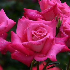 Схема вышивки «№659637»