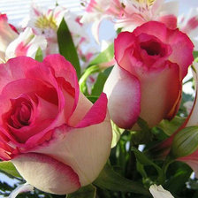 Схема вышивки «№659638»