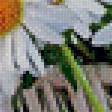 Предпросмотр схемы вышивки «№659641»