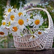 Схема вышивки «№659641»