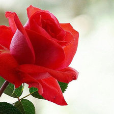 Схема вышивки «№659642»