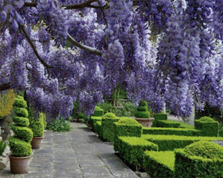 Англия. Поместье Айфорд Мэнор - англия, сад, пейзаж, природа - предпросмотр