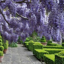 Схема вышивки «Англия. Поместье Айфорд Мэнор»