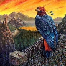 Схема вышивки «falco»