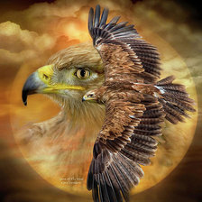 Схема вышивки «Орел»