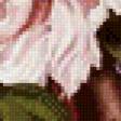 Предпросмотр схемы вышивки «Пионки» (№660062)