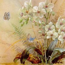 Схема вышивки «цветы»