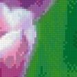 Предпросмотр схемы вышивки «тюльпаны» (№660333)