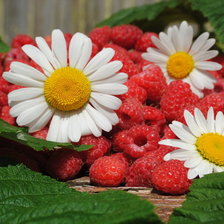 Схема вышивки «Малиновое лето»