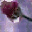 Предпросмотр схемы вышивки «роса на цветах» (№660381)