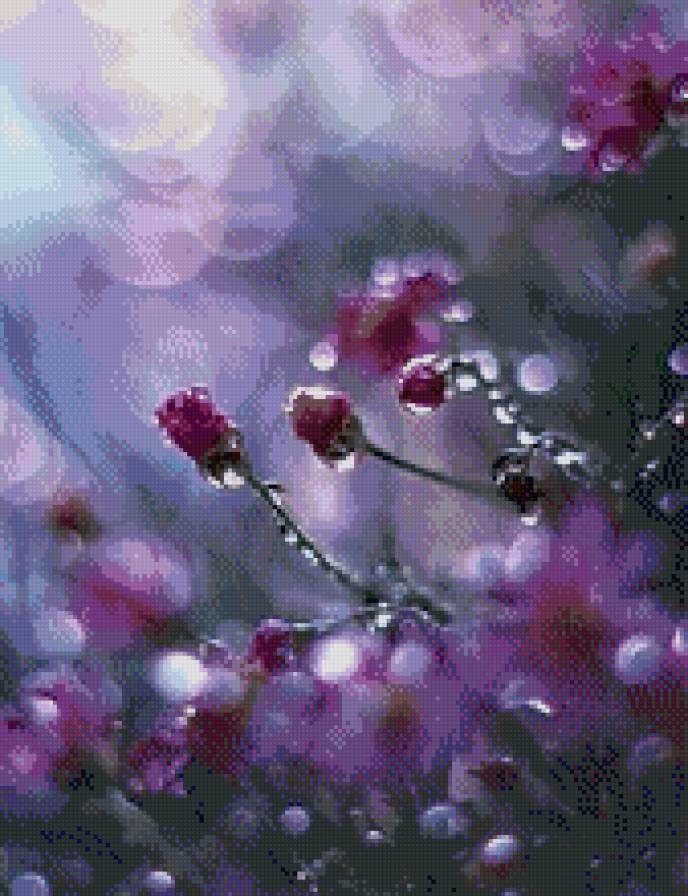 роса на цветах - цветы, роса - предпросмотр