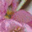 Предпросмотр схемы вышивки «сакура» (№660386)