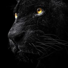 Схема вышивки «№660474»