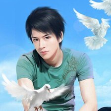 Схема вышивки «восточный красавец 13»