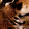 Предпросмотр схемы вышивки «Тигр» (№660569)
