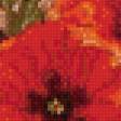 Предпросмотр схемы вышивки «маки» (№660777)