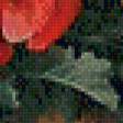 Предпросмотр схемы вышивки «букет маков» (№660778)