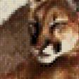 Предпросмотр схемы вышивки «Félins» (№660851)