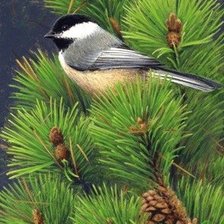 Схема вышивки «№660916»