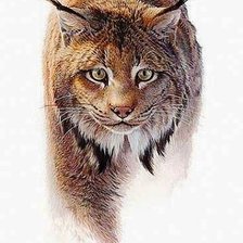 Схема вышивки «Рысь»