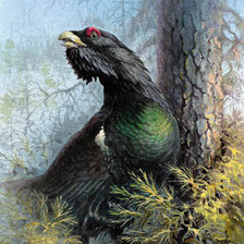 Схема вышивки «№661182»