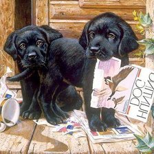 Схема вышивки «№661230»