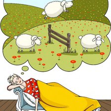 Схема вышивки «роро»