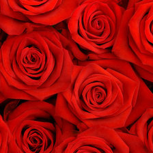 Схема вышивки «Розы»