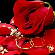 Схема вышивки «Свадьба»