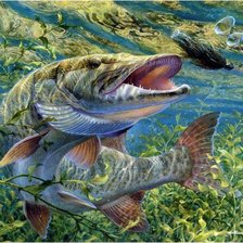 Схема вышивки «Щука»