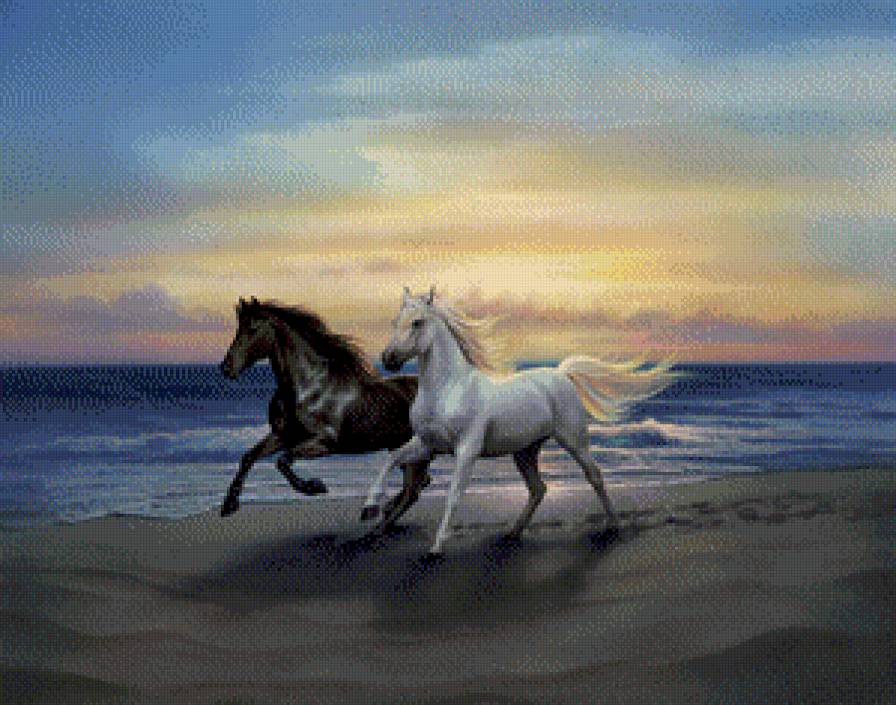 кони - животные.кони - предпросмотр