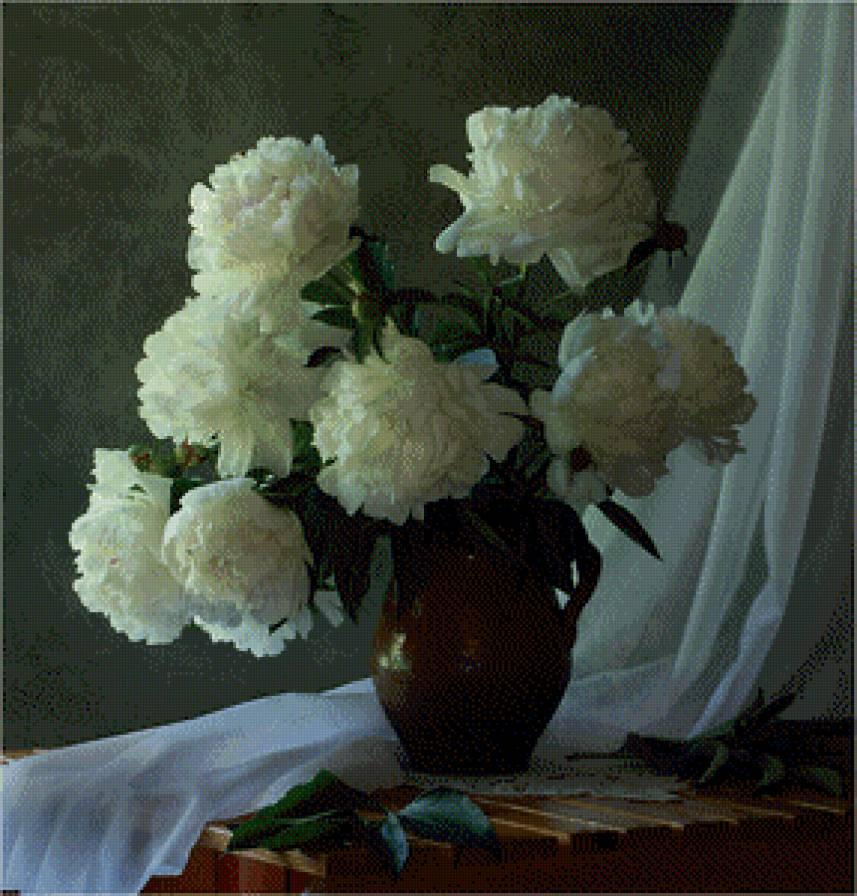 пионы - предпросмотр