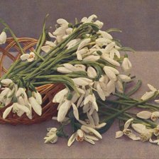 Схема вышивки «№661797»