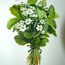 Схема вышивки «№661809»