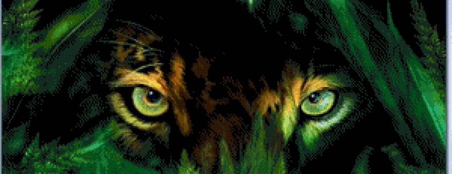 Взгляд - животное, взгляд, глаза - предпросмотр