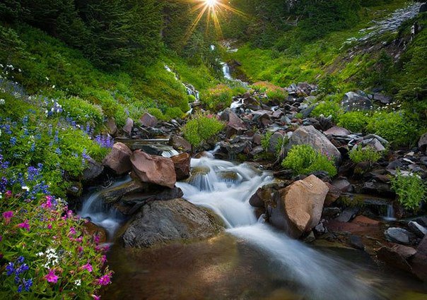 Ручей - ручей, восход, природа - оригинал