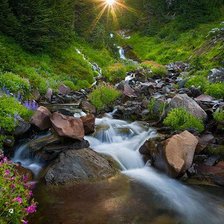 Схема вышивки «Ручей»