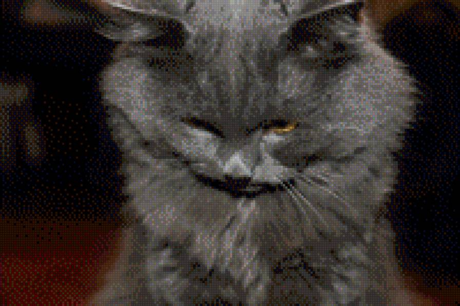 Вася - кошки, животные, коты - предпросмотр