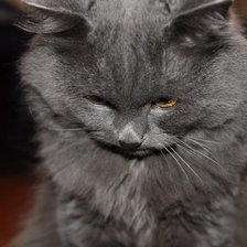 Схема вышивки «Вася»