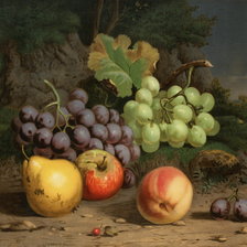 Схема вышивки «martwa natura»