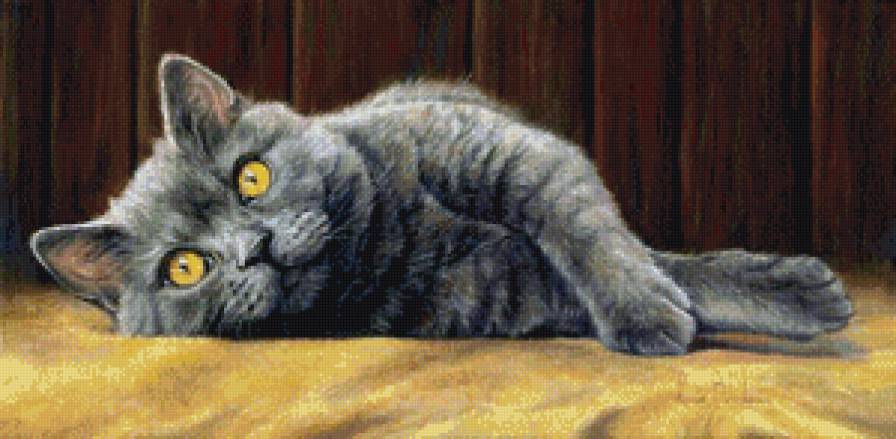 Васька - кот, домашние животные - предпросмотр