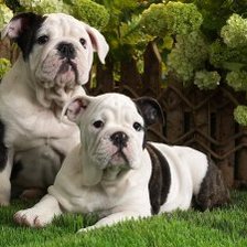 Схема вышивки «№662202»