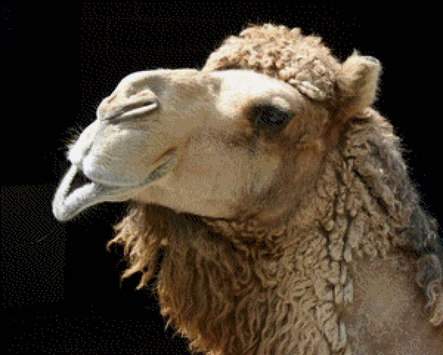 №662214 - предпросмотр