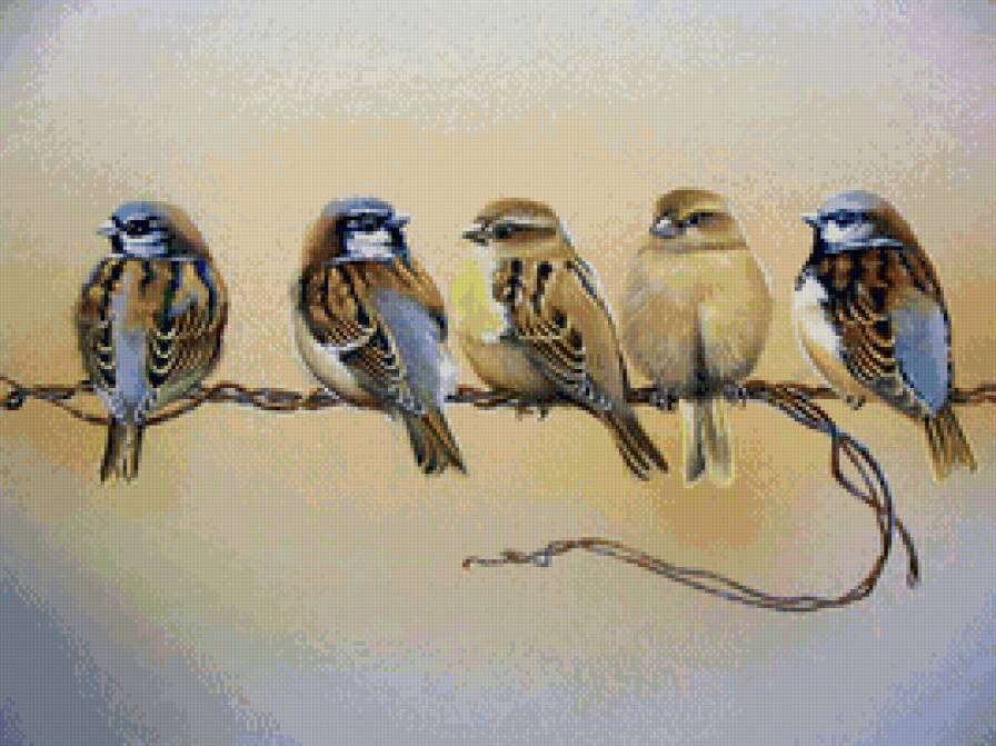 Пернатые - птицы - предпросмотр