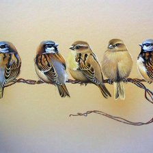 Схема вышивки «Пернатые»