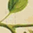 Предпросмотр схемы вышивки «Птичка» (№662415)