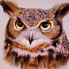 Схема вышивки «Сова»