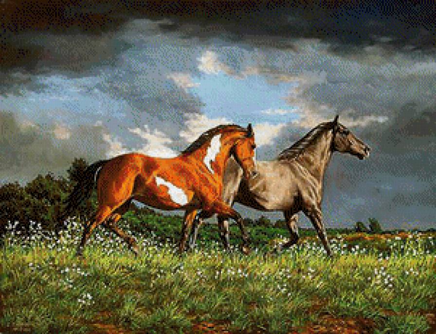 №662527 - предпросмотр